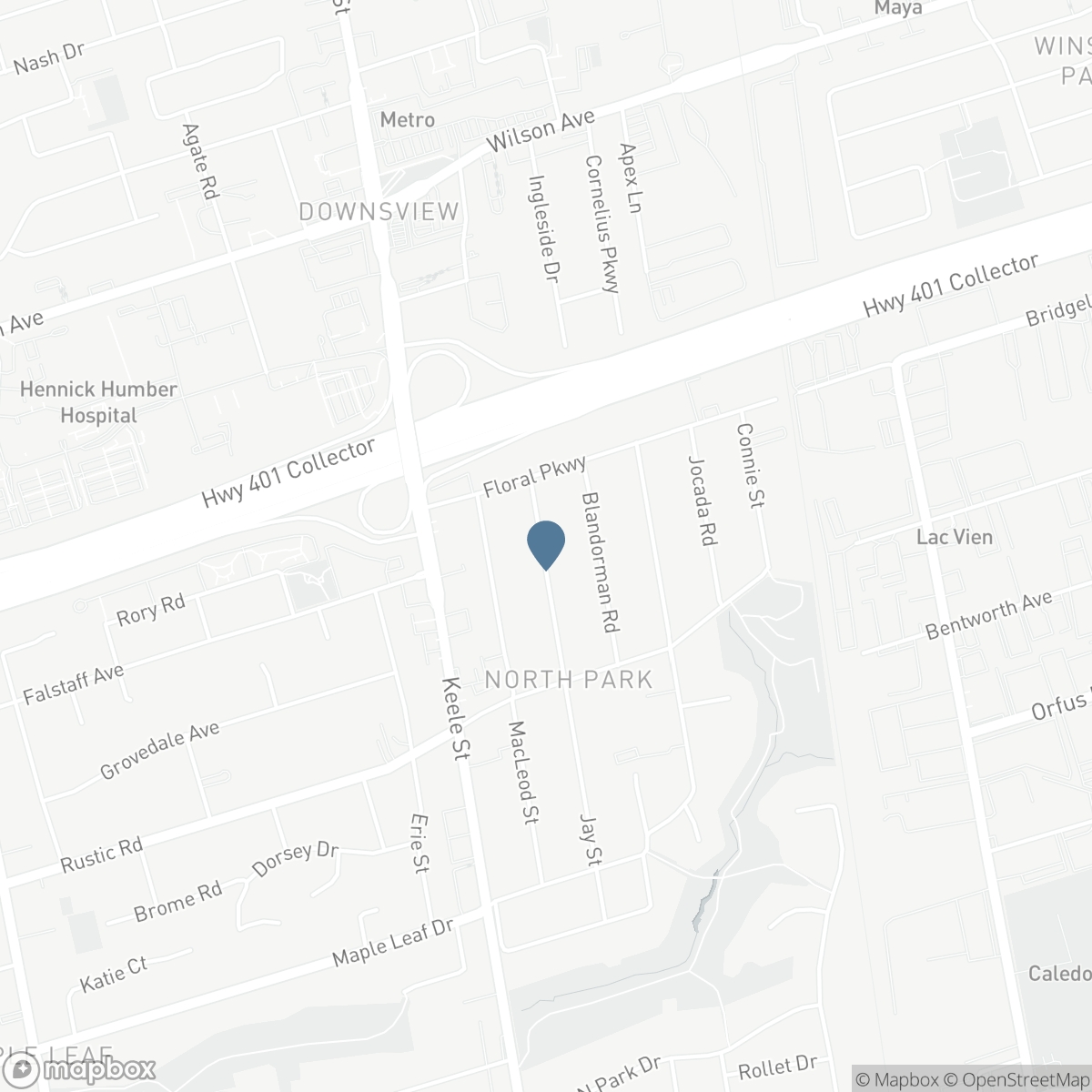 119 JAY STREET, Toronto, Ontario M6L 2M3
